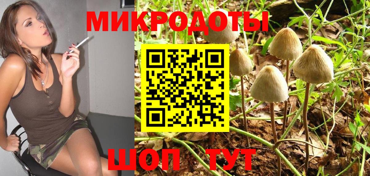 Галлюциногенные грибы ЛСД  Вход с VPN  Сальск 